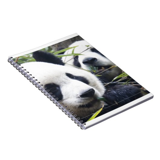 Panda-Bären Notizblock (Rechte Seite)