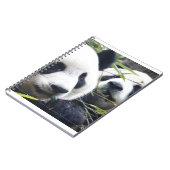 Panda-Bären Notizblock (Linke Seite)