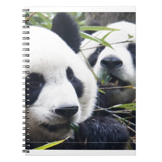 Panda-Bären Notizblock (Vorderseite)