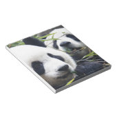 Panda-Bären Notizblock (angewinkelt)