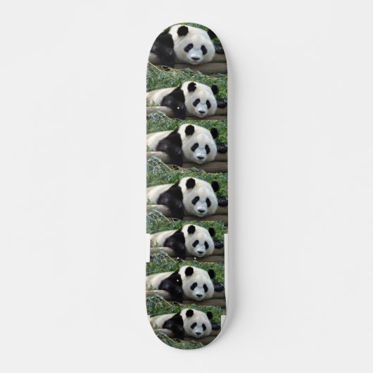 PANDA-BÄREN SKATEBOARD (Vorne)