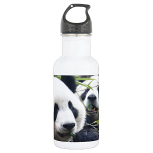Panda-Bären Trinkflasche