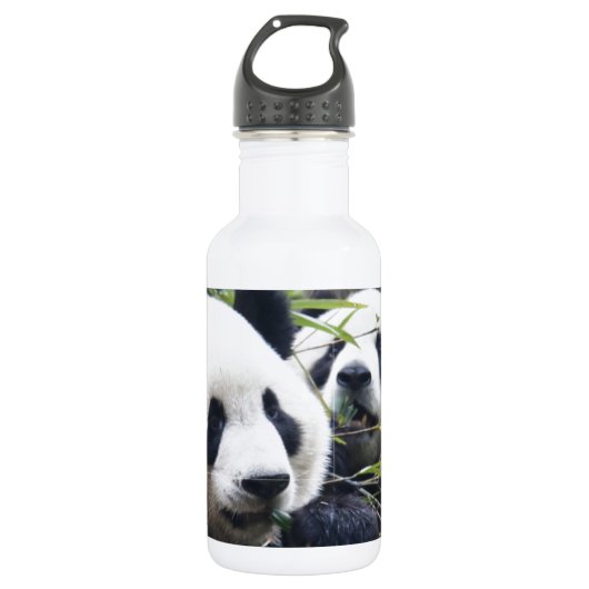 Panda-Bären Trinkflasche (Vorderseite)