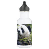 Panda-Bären Trinkflasche (Rechts)