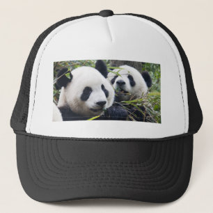 Panda-Bären Truckerkappe