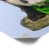 Panda Bären und Bären Poster (Ecke)