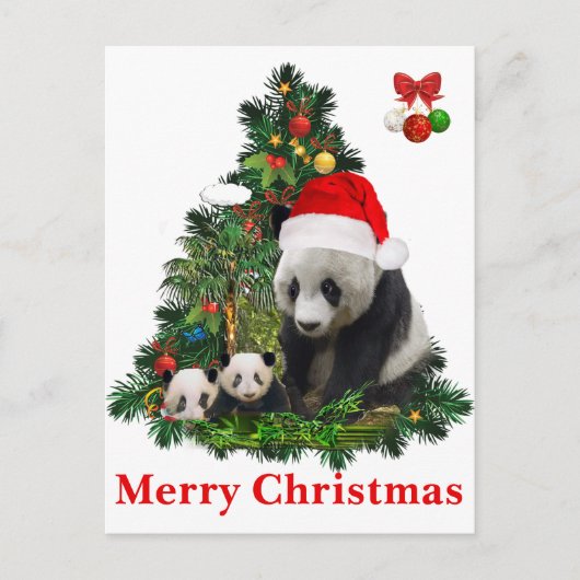 Panda Bären Weihnachten (Vorderseite)