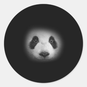 Panda Bärenfalle für Tierfreunde und liebliche Bär Runder Aufkleber