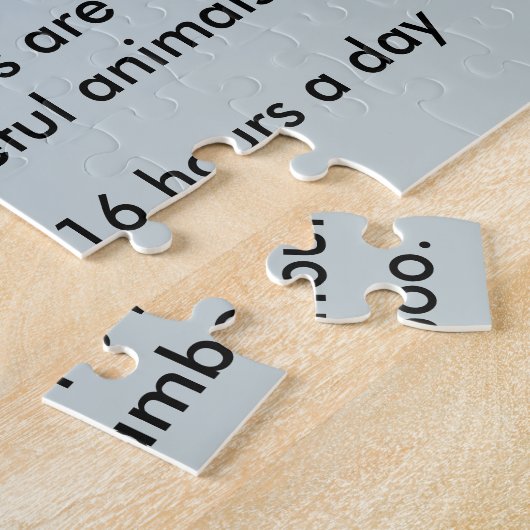 Panda-BärenleFakten Puzzle (Seite)