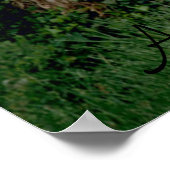 Panda Bärenposter Poster (Ecke)