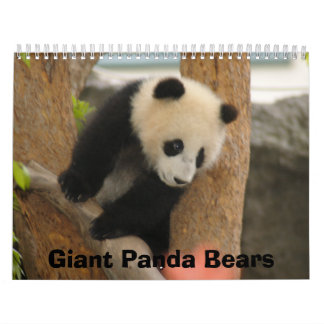 Panda-Bärn-Kalender, Panda-Bären Kalender