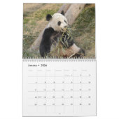 Panda-Bärn-Kalender, Panda-Bären Kalender (Jan 2026)