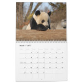Panda-Bärn-Kalender, Panda-Bären Kalender (Mär 2027)