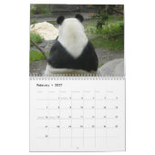 Panda-Bärn-Kalender, Panda-Bären Kalender (Feb 2027)