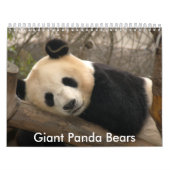 Panda-Bärn-Kalender, Panda-Bären Kalender (Titelbild)