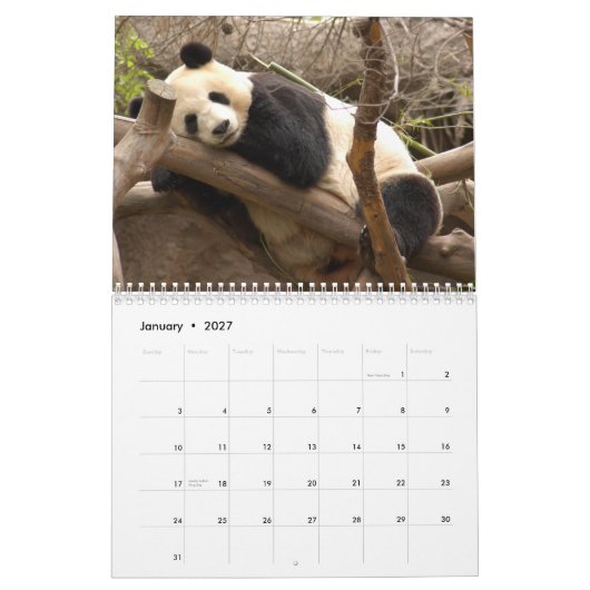 Panda-Bärn-Kalender, Panda-Bären Kalender (Jan 2027)