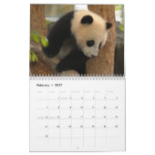 Panda-Bärn-Kalender, Panda-Bären Kalender (Feb 2027)