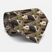 Panda-Bärn-Krawatte Krawatte (Gerollt)