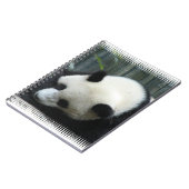 Panda-Bärn-Notizbuch Notizblock (Linke Seite)