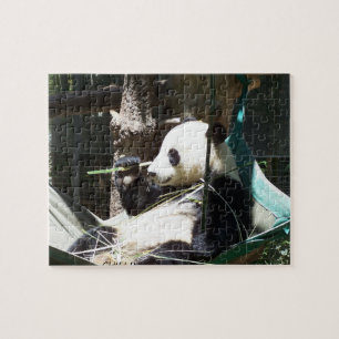 Panda-Bärn-Puzzlespiel Puzzle