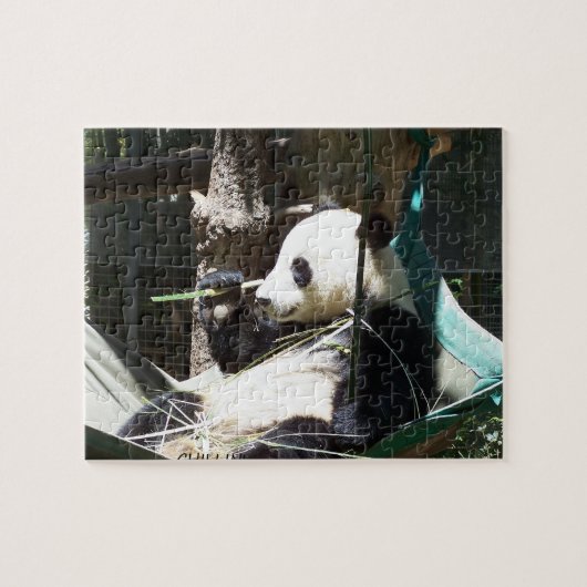 Panda-Bärn-Puzzlespiel Puzzle (Horizontal)
