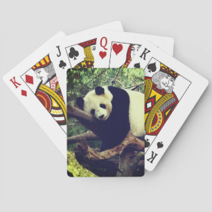 Panda-Bärn-Spielkarten Spielkarten