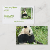 Panda-Bärn-Visitenkarte Visitenkarte (Vorne/Hinten)