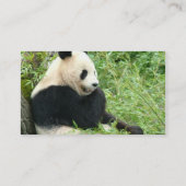 Panda-Bärn-Visitenkarte Visitenkarte (Rückseite)