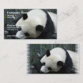 Panda-Bärn-Visitenkarte Visitenkarte (Vorne/Hinten)