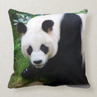 Panda-Bärn-Wurfs-Kissen Kissen