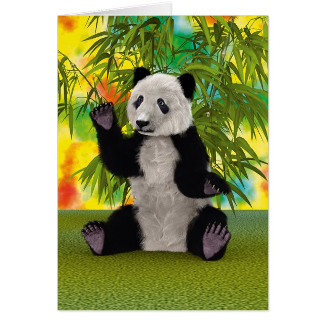 Panda Bear (Vorne)