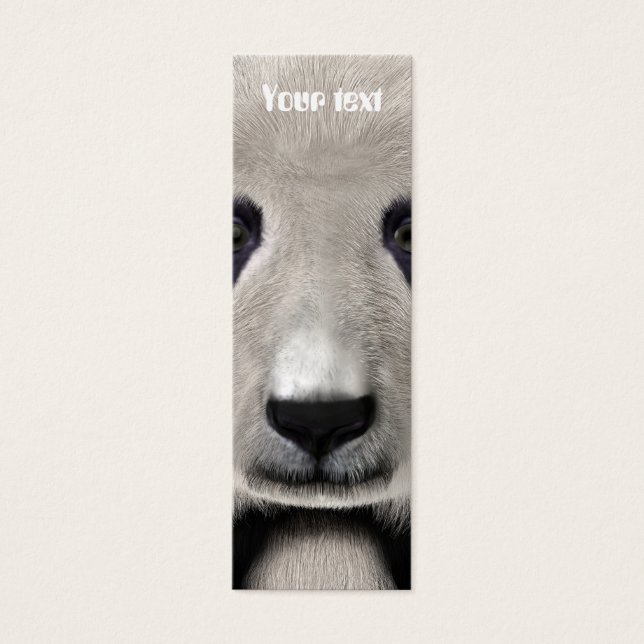 Panda Bear (Vorderseite)