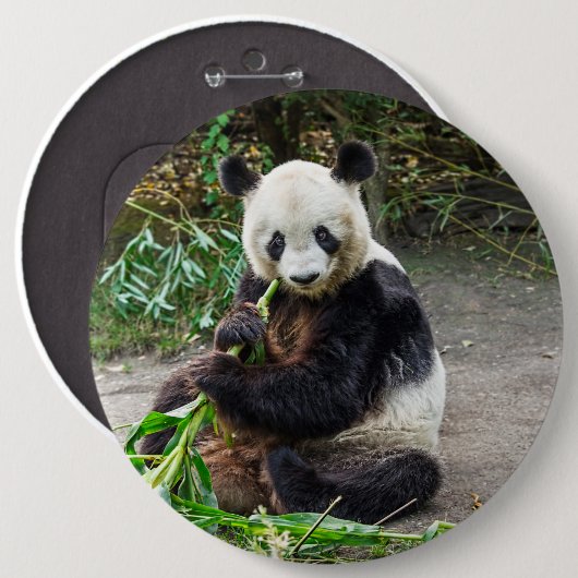 Panda Bear 1 Button (Vorne & Hinten)