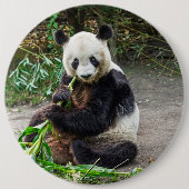 Panda Bear 1 Button (Vorderseite)