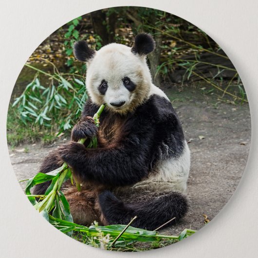 Panda Bear 1 Button (Vorderseite)