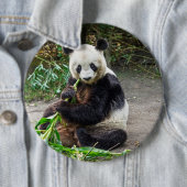 Panda Bear 1 Button (Beispiel)