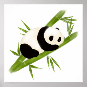 Panda Bear Bamboo Trees Poster Print