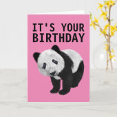 PANDA BEAR BIRTHDAY CARD KARTE (Gelbe Blume)