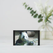 Panda Bear Business Cards Visitenkarte (Stehend Vorderseite)