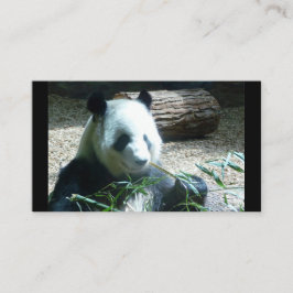 Panda Bear Business Cards Visitenkarte