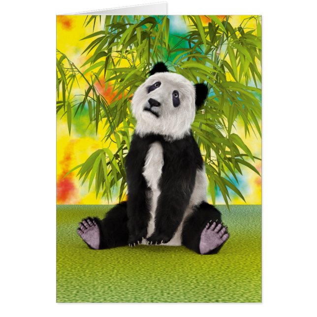 Panda Bear Cub (Vorne)