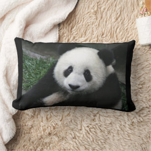 PANDA BEAR CUDLE PILLOWS LENDENKISSEN