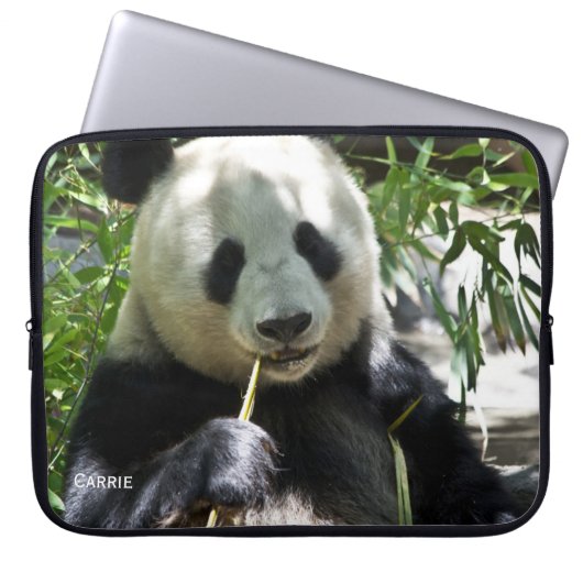 Panda Bear Custom Laptop Case (Vorderseite)