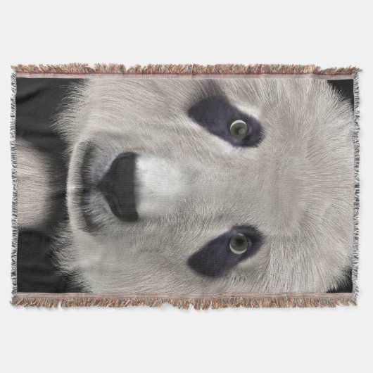 Panda Bear Decke (Vorderseite)