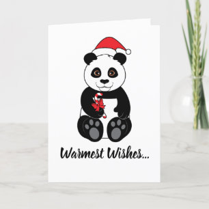 Panda Bear Ess eine Candy Cane zu Weihnachten