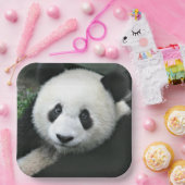 Panda Bear Face Paper Teller (Party)