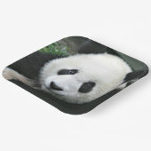 Panda Bear Face Paper Teller (Gewinkelt)