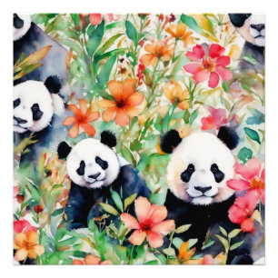 Panda Bear Fotodruck