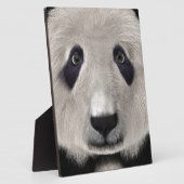 Panda Bear Fotoplatte (Seite)