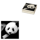 PANDA BEAR FOTORAPHIE RUBBER BRIEFMARKE GUMMISTEMPEL (Stempel)